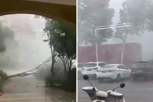 Los árboles se doblaron por la intensidad del viento mientras el agua se acumulaba en las calles.