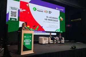 Montero Luque explicó que la experiencia europea busca siempre "estabilidad" y "previsibilidad en nuestras relaciones comerciales".