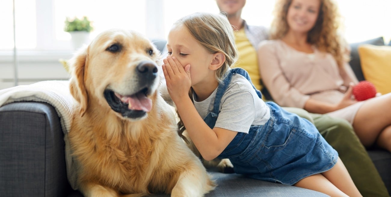 Por qué las personas hablan con sus mascotas, según la psicología