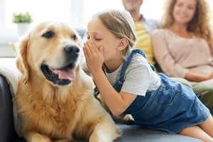 Hablar con las mascotas es una práctica común en muchos hogares.