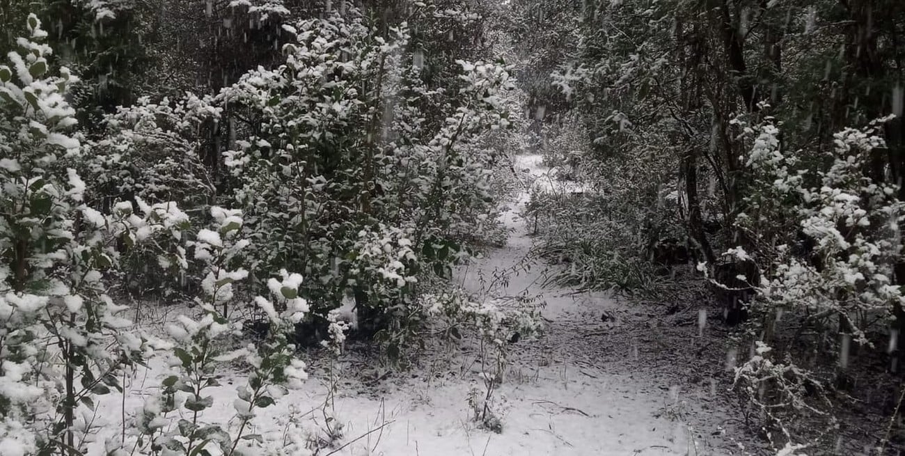 Intimando con la nieve
