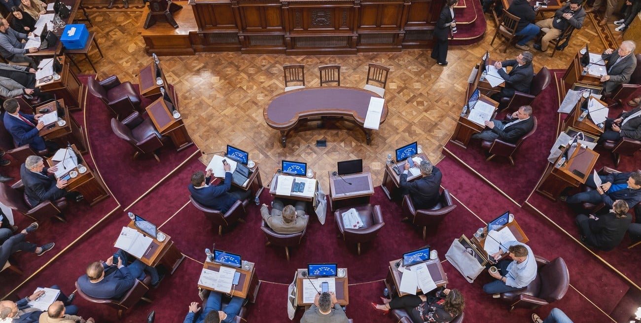 Avanzó en el Senado un proyecto para la participación ciudadana prometida por la Reforma 2025