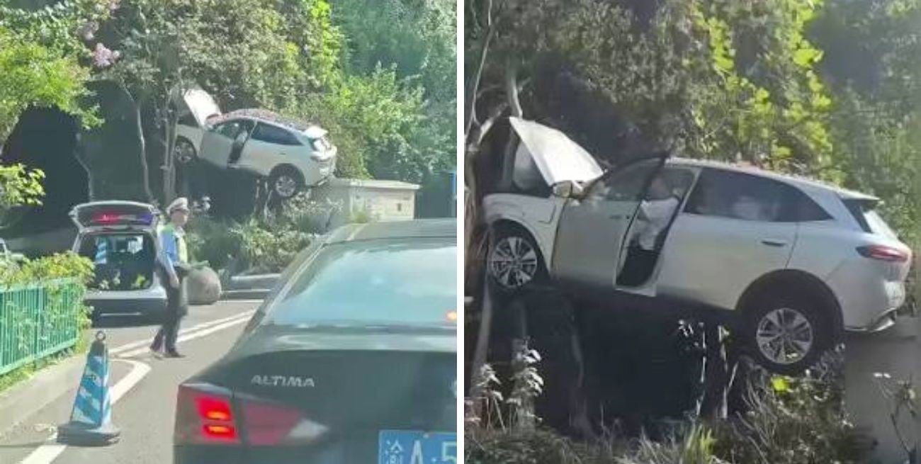 Increíble accidente en China: perdió el control y el auto terminó incrustado en un árbol