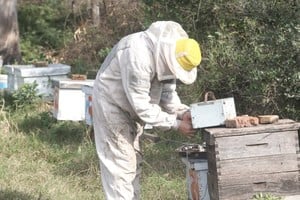  Bee Natural, transformó una producción incipiente de apitoxina -veneno de abeja- en un producto con agregado de valor. 