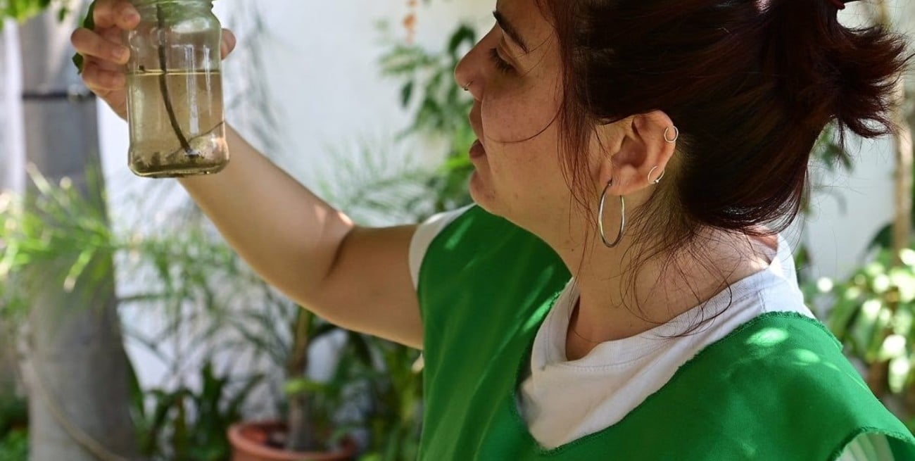 Dengue: refuerzan el descacharrado en barrios santafesinos con riesgo hídrico
