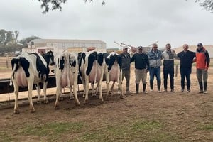 Jura a campo de Holando Argentino: una competencia que reúne a los mejores rodeos del país. Foto: TodoLactea