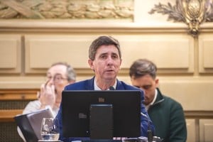 “Esta media sanción permite avanzar con una herramienta concreta para la provincia”, concluyó.