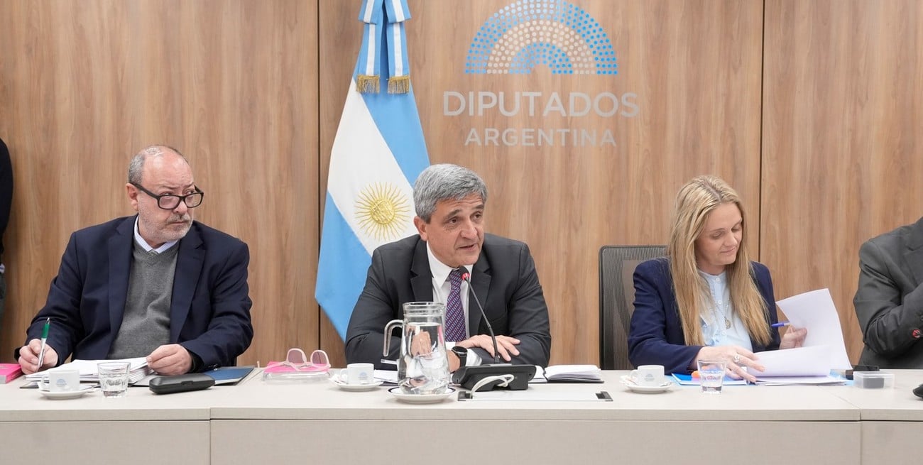Avanza en Diputados la "Ley Joaquín" para prevenir accidentes deportivos infantiles