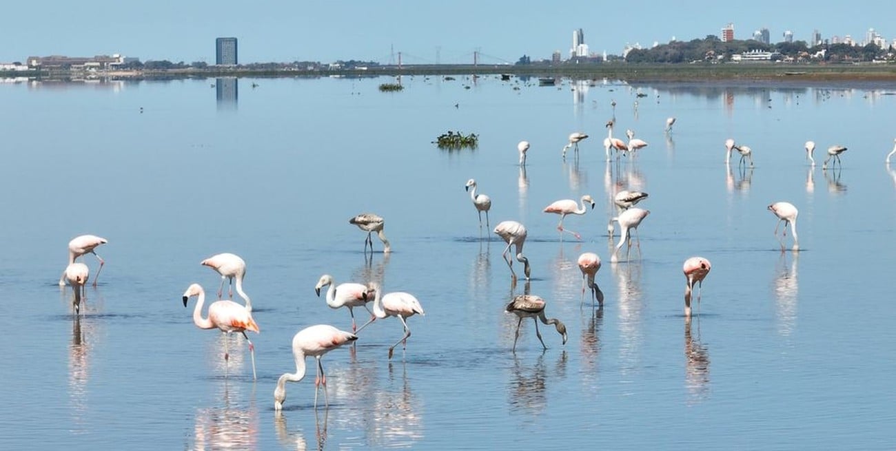 Pidieron que se coloque señalética informativa con alertas ambientales en cursos de agua de Santa Fe