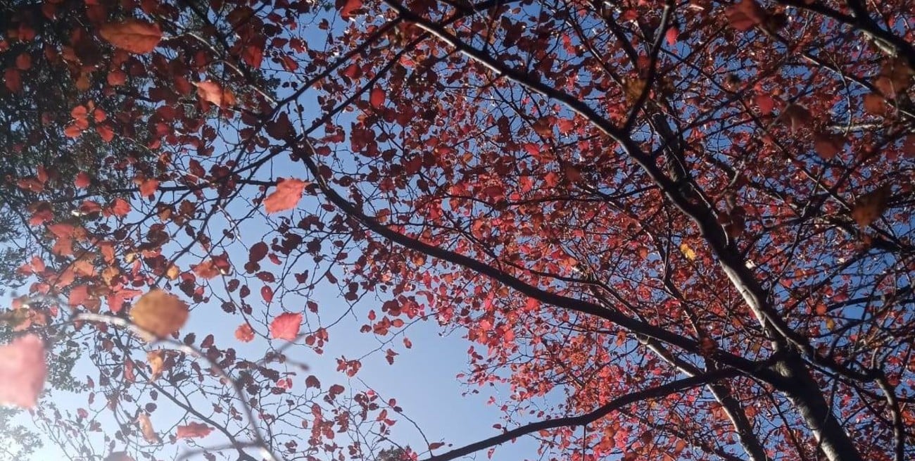 Poema rojo bajo cielo azul