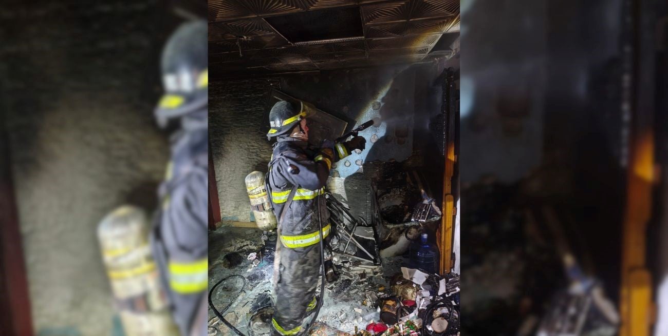 Rescatan con vida a 4 perros tras el incendio de un departamento en Las Flores II