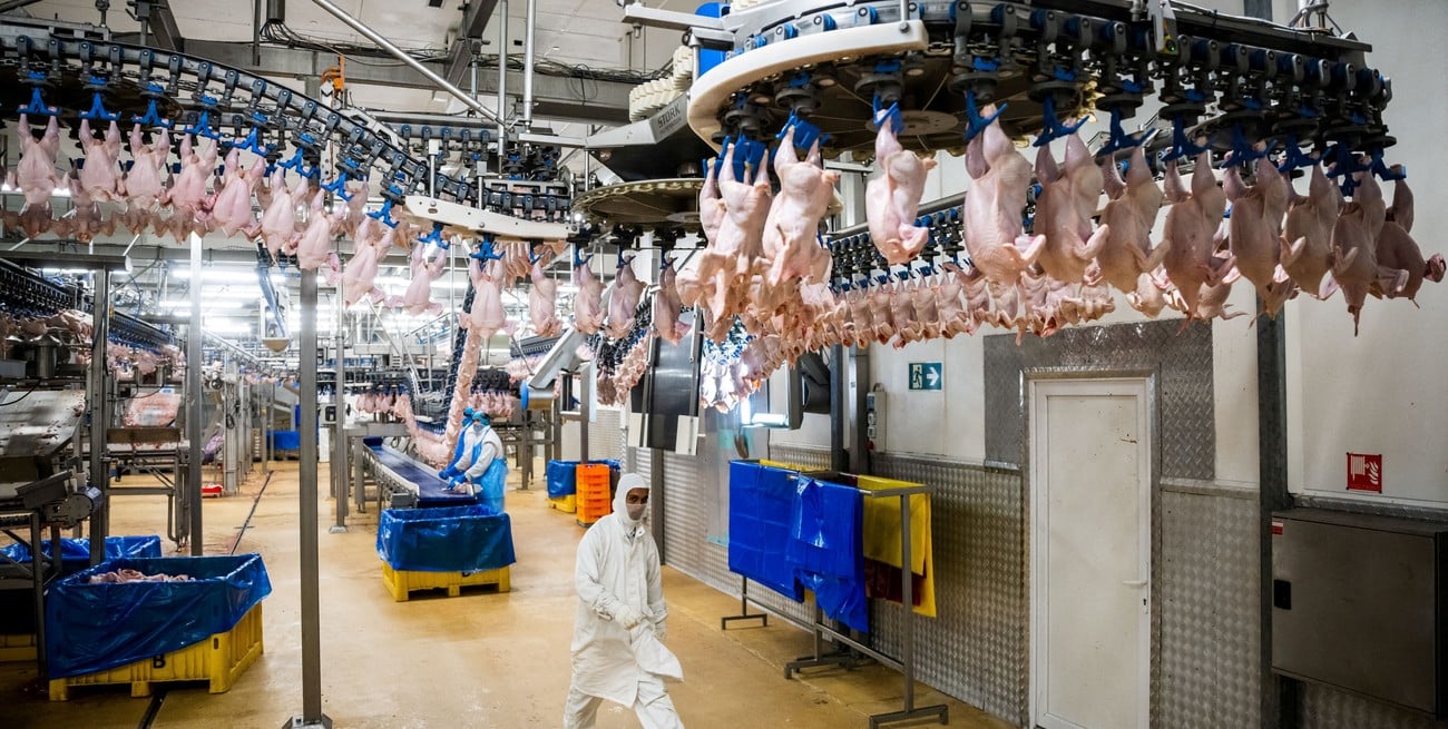 Argentina recuperó el acceso del Reino Unido para la carne aviar