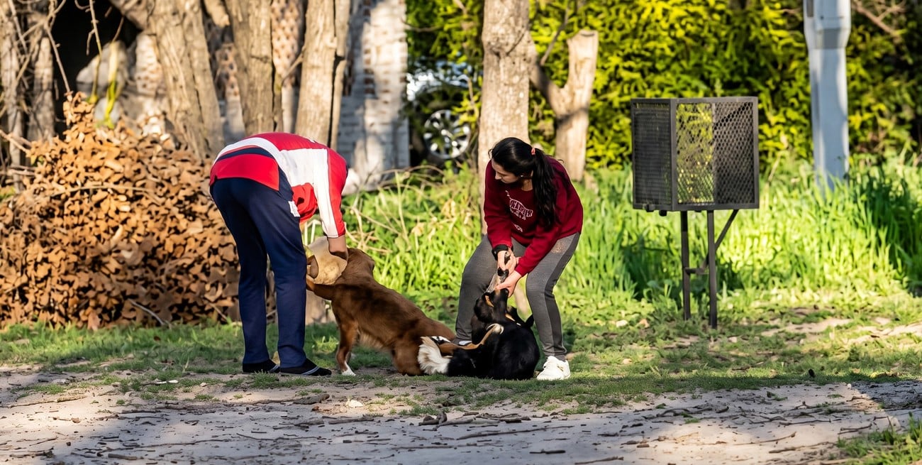Otro episodio con perros potencialmente peligrosos vuelve a poner el foco en la tenencia responsable