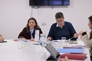 Reunión en la Comisión de Educación de Diputados.
