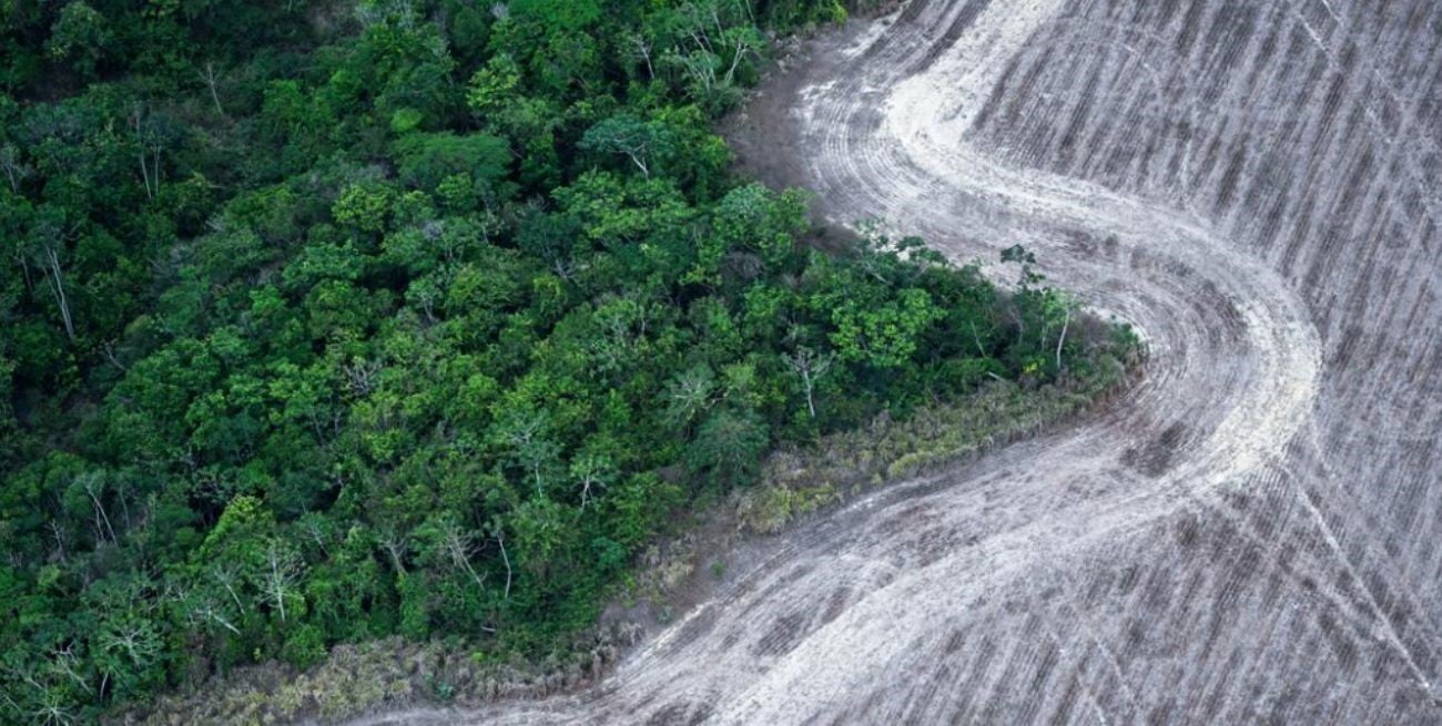 Advierten que la deforestación del Amazonas incrementa los riesgos de El Niño en Brasil y la región
