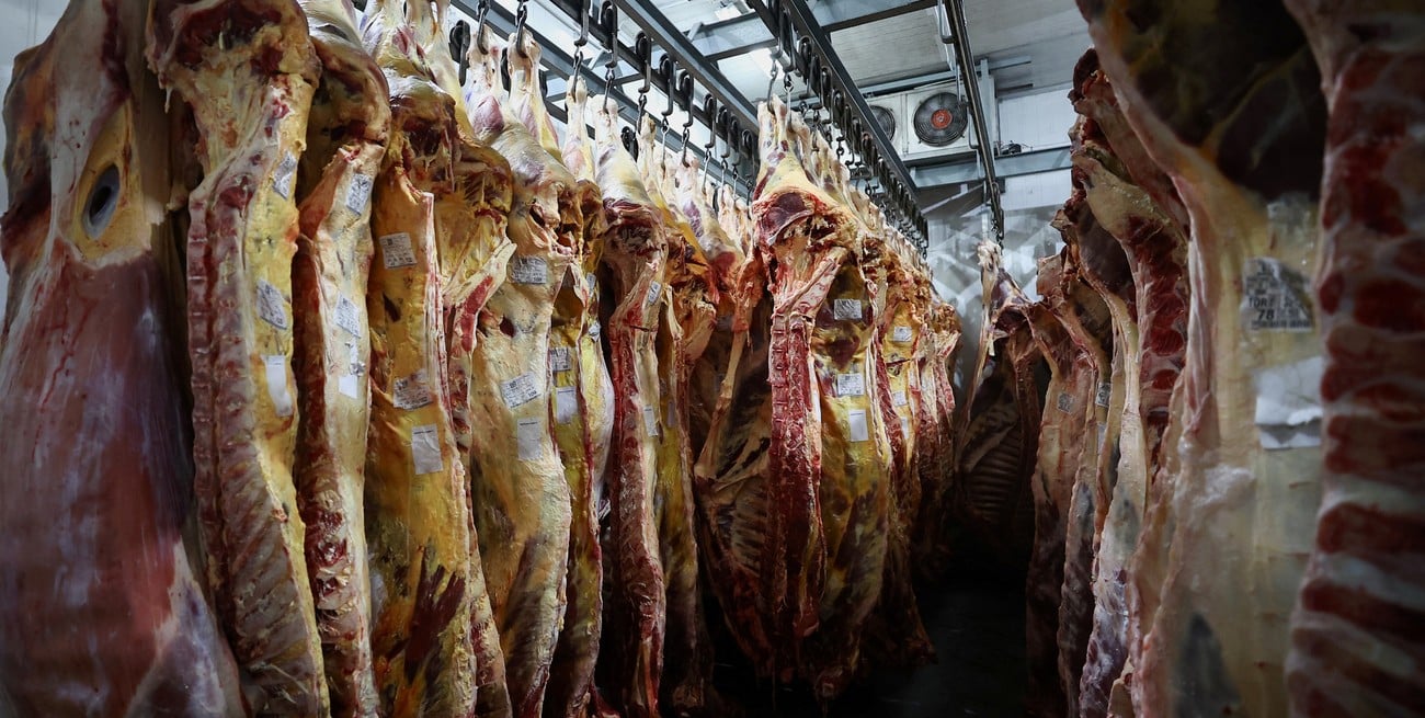 Cancillería explicó por qué retiraron un lote de 13 toneladas de carne argentina en Estados Unidos