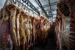 La distribución comercial antes de completar la reinspección obligatoria generó el retiro de carne argentina en EE.UU., según aclaró el canciller Quirno.
Foto: REUTERS / Agustin Marcarian.