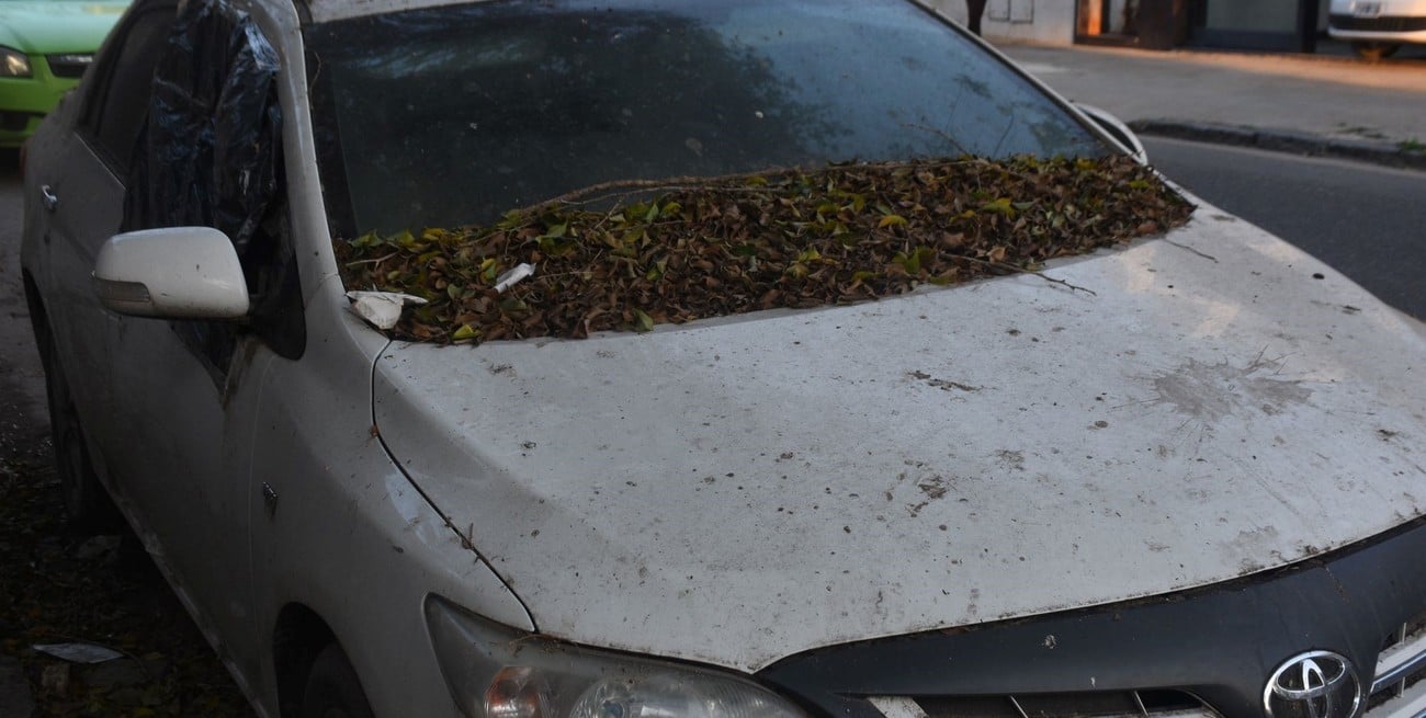 En las calles de Santa Fe hay casi 200 autos abandonados: cómo procede el municipio
