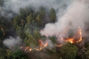 Una vista desde un dron muestra un incendio forestal en Deliblatska Pescara, Serbia. REUTERS/Marko Djurica