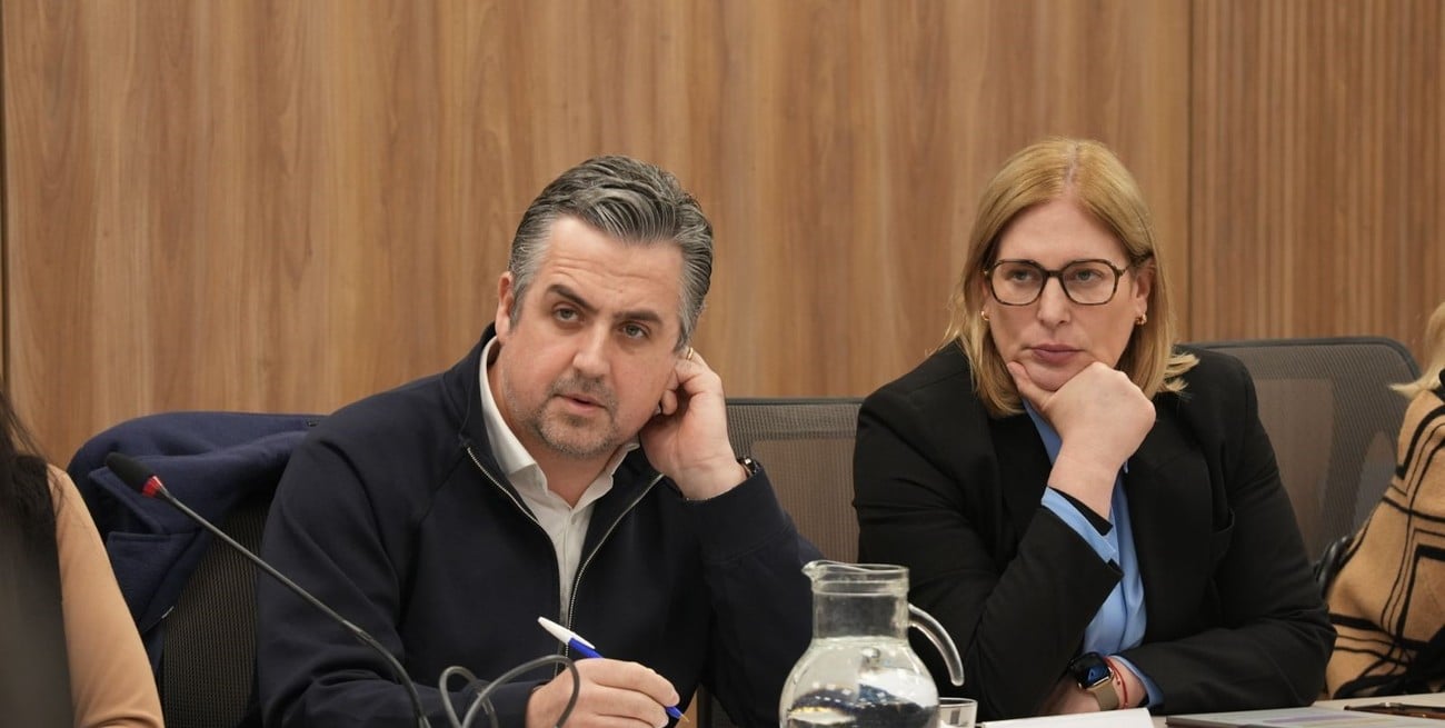 Santa Fe expuso ante el Congreso una ley para ampliar las competencias provinciales contra el microtráfico