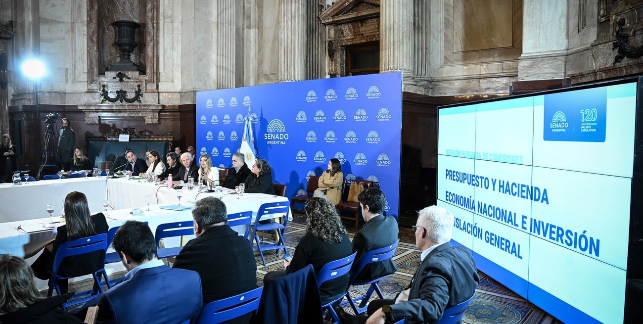 El Senado puso bajo la lupa los recursos que compromete el Súper RIGI