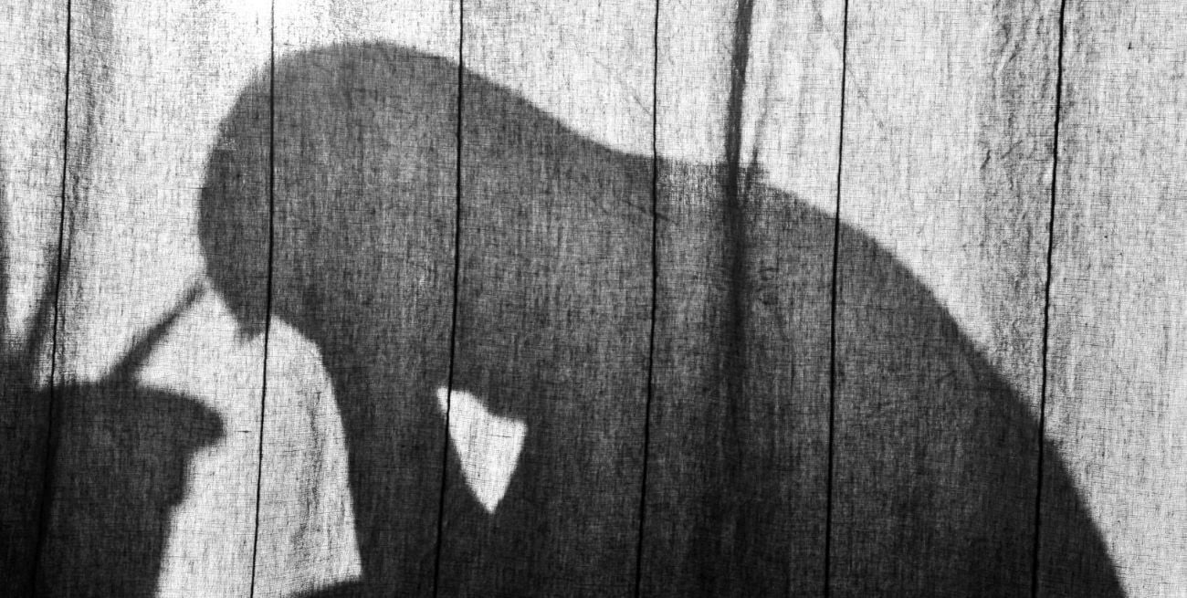 ¿Cómo transitar una pérdida?: "El duelo es un examen que tenemos que aprobar"