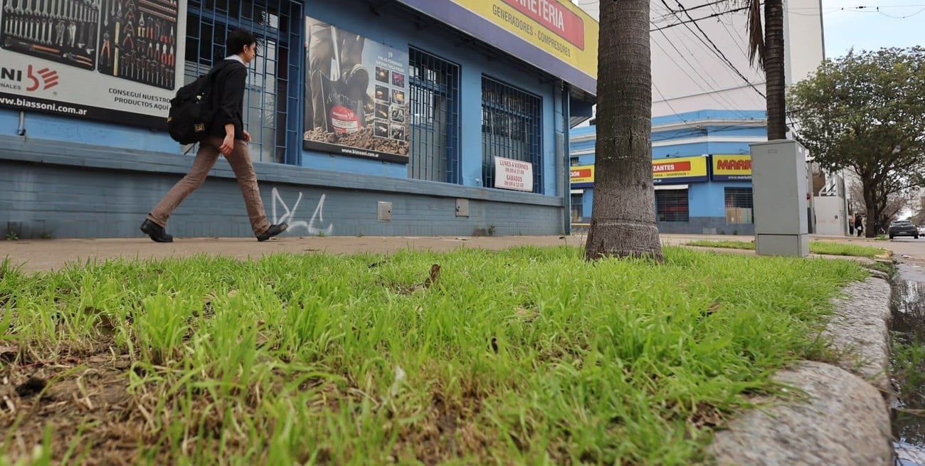 Las cintas verdes, nuevas "aliadas" para que los comercios de Santa Fe puedan repuntar sus ventas