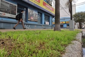 Ahora se podrá colocar publicidad en las cintas verdes. Foto: Gentileza