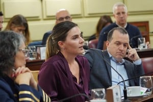 Lionella Cattalini fue la voz oficialista al presentar el Código Electoral que se votó con amplia mayoría. Foto: Cámara de Diputados