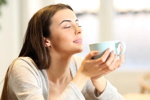 Mantener secos los ambientes reduce la humedad y ayuda a evitar aromas persistentes.