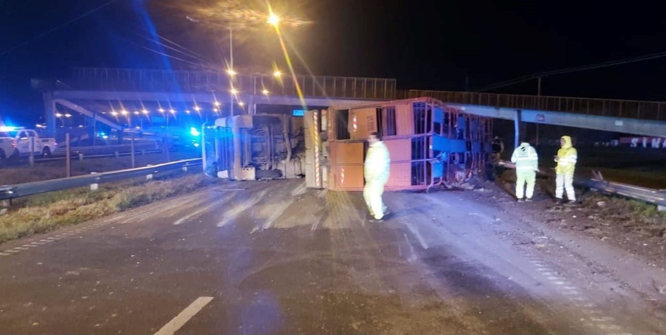 Volcó un camión cargado con vacunos; cinco detenidos por abigeato y faenamiento