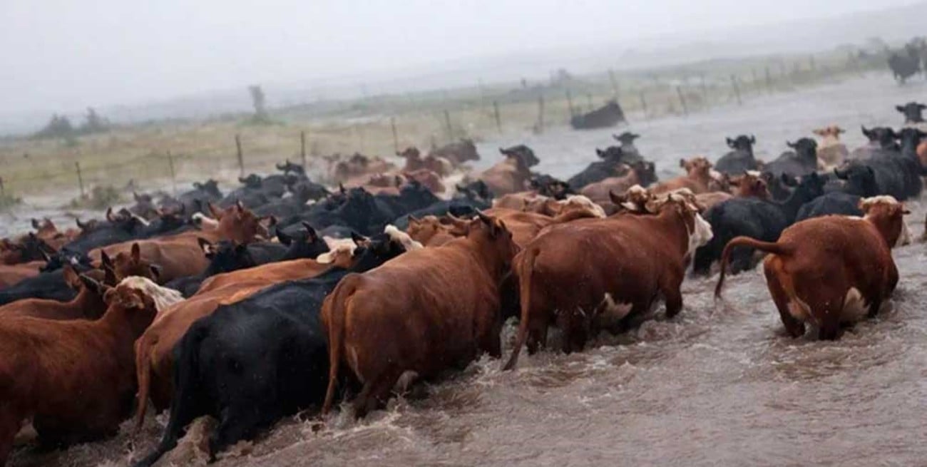 Miles de hectáreas permanecen bajo el agua en Uruguay: imágenes impactantes
