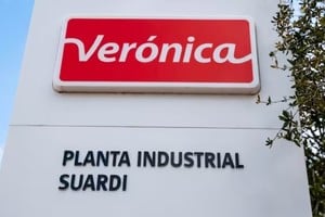 La planta de Verónica en Suardi.