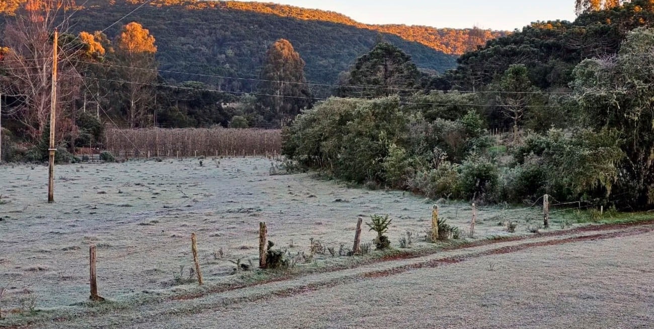El sur de Brasil "helado": temperaturas bajo cero y campos blancos en ciudades serranas