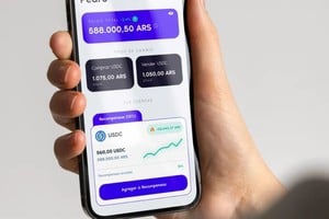 Elegir dónde colocar los pesos no depende solamente de mirar cuál muestra el porcentaje más alto.
