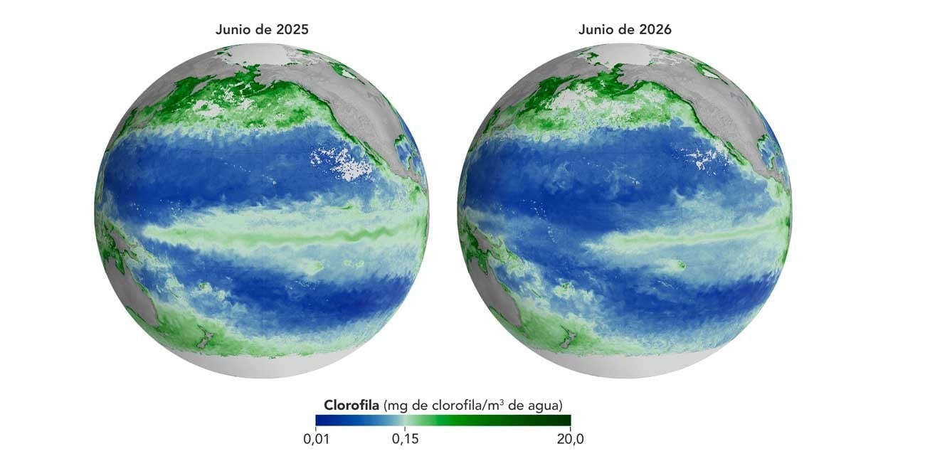 La NASA presentó una imagen comparativa sobre cómo El Niño altera la vida marina en el Pacífico