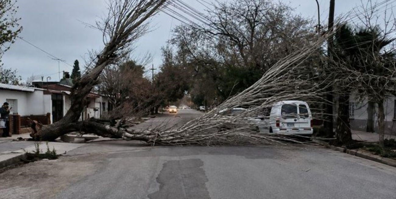 Viento Zonda en Mendoza: advierten por ráfagas fuertes y recomiendan evitar viajes