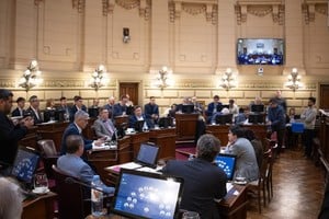 El sistema electrónico de votación en el Senado mostró que los 19 representantes de los departamentos respaldaron el proyecto con media sanción de Diputados. Foto: Senado de Santa Fe.