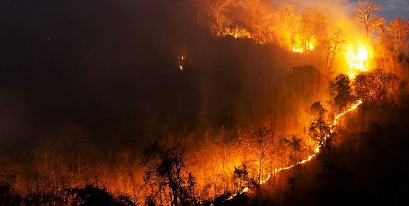 ¿Por qué aumenta el riesgo de incendios forestales en primavera y qué zonas de Argentina están bajo alerta?