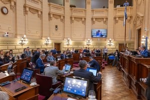 Senado:tiene preferencia la ley de Unidades Especiales en la Defensa Pública