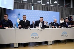 El Gobierno reconoció que debió restituir 150 mil pensiones dadas de baja en las auditorías de ANDIS