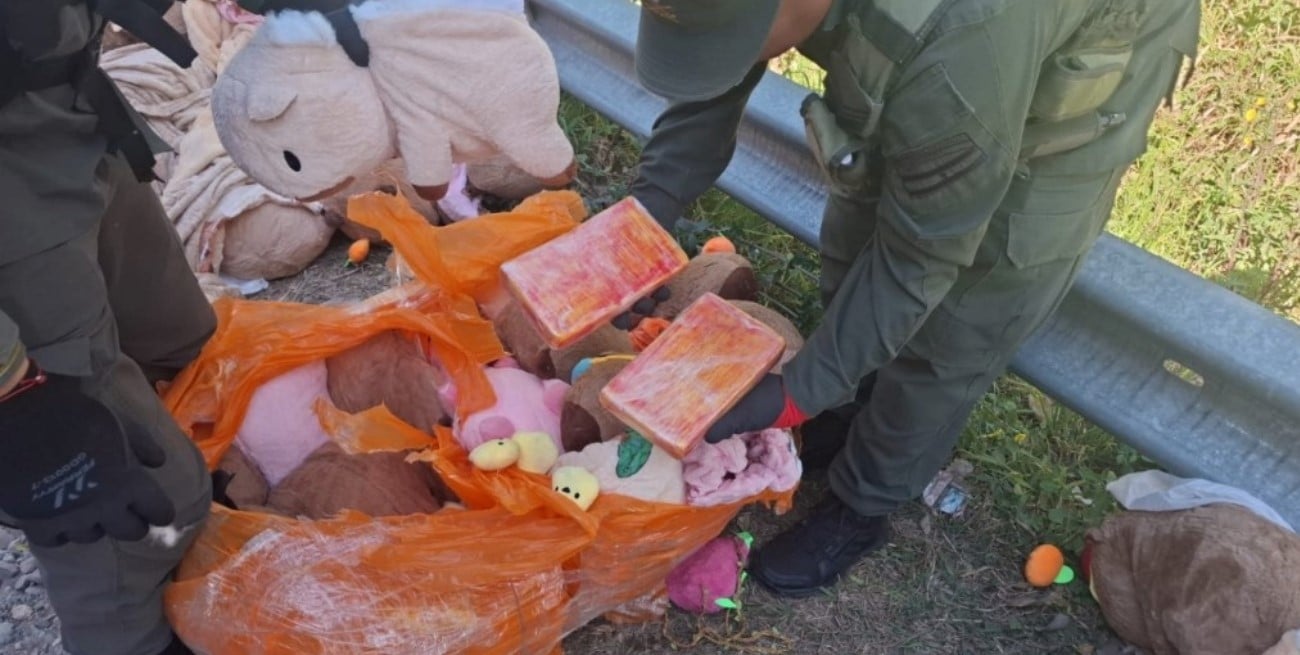 Secuestraron casi 50 kilos de marihuana y más de 4 kilos de cocaína ocultos en peluches