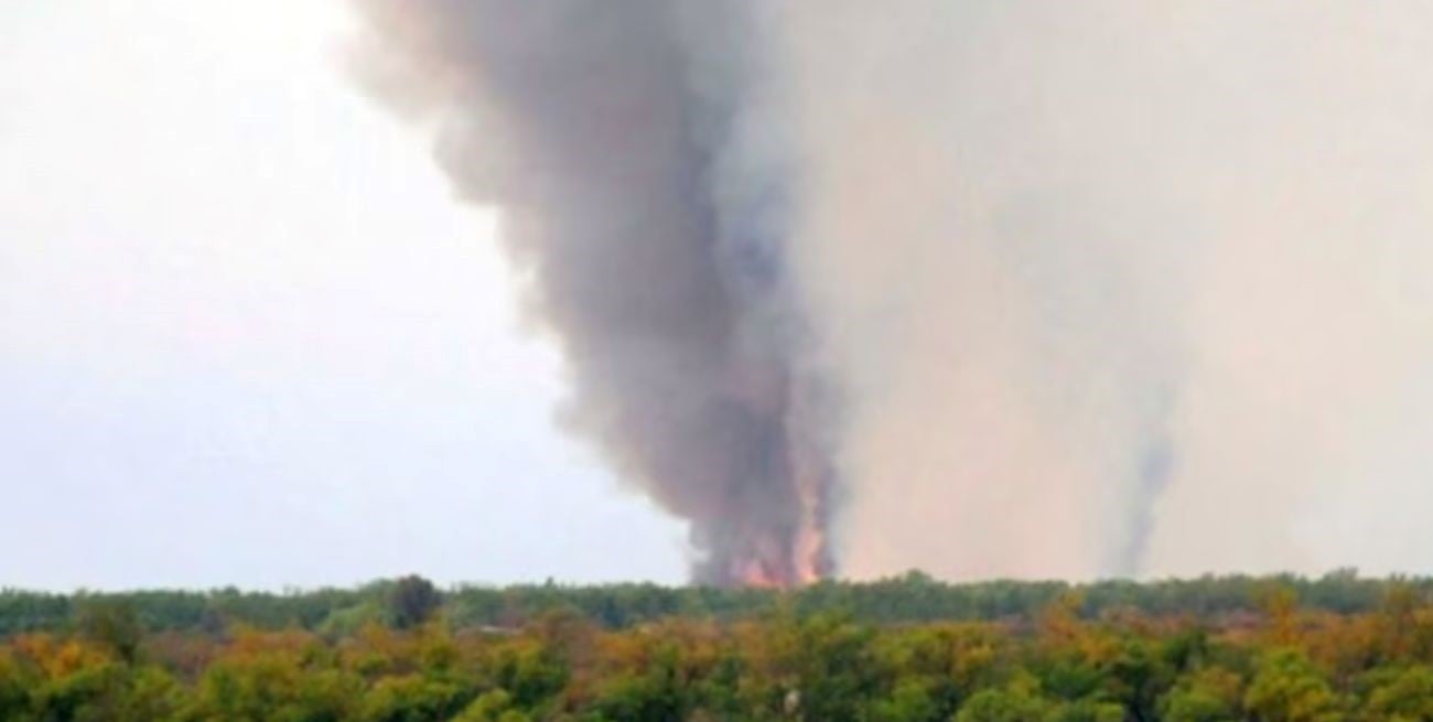 Incendios en el Delta: detectaron 36 focos y más de 1.700 hectáreas afectadas