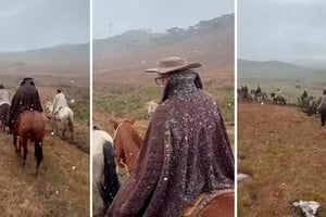Sorpresa en las sierras del sur del vecino país.