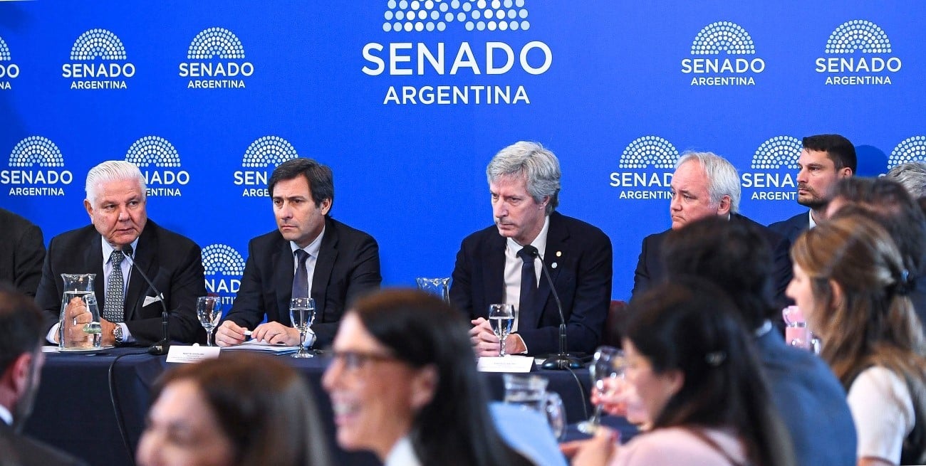 El Senado avanzó con la reforma del BCRA, tras un tenso debate por el uso de reservas como garantía