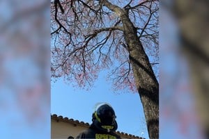 Un vecino llamó al 911 para pedir auxilio. Foto: El Litoral