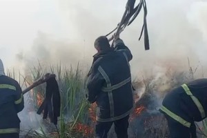 Casi 80 hectáreas de vegetación y terrenos rurales fueron afectadas por distintos incendios