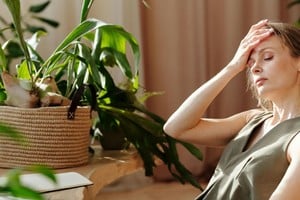 El cambio más importante entre el invierno y la primavera es el aumento progresivo de las horas de luz.