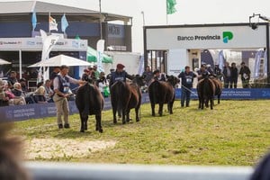 La expectativa también estará puesta en la pista y en la performance de los jurados