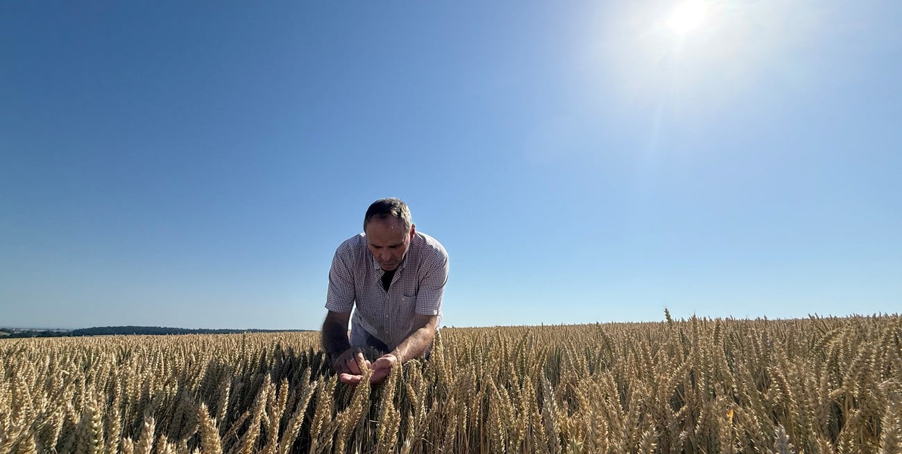 Productores argentinos duplican en optimismo a los de Estados Unidos sobre el futuro del agro